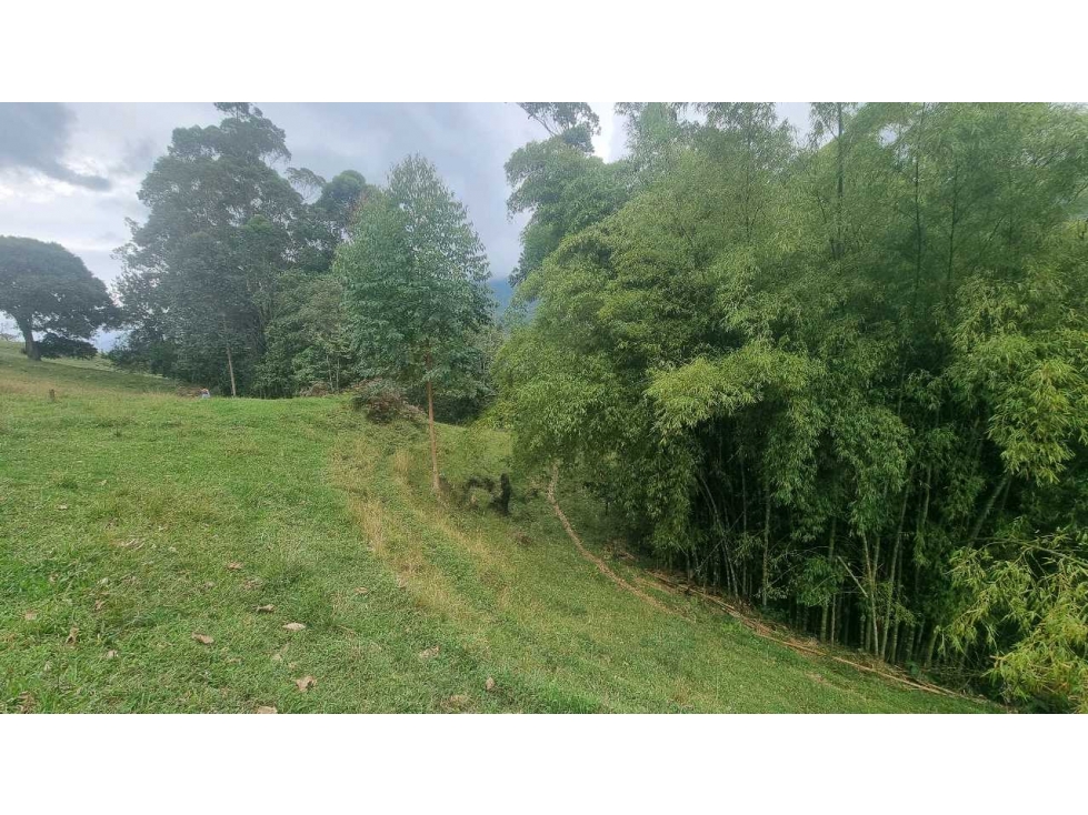 Finca para la venta en Salento vereda nabarco con bosque vista y rio - 6
