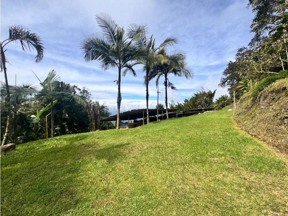 FINCA PARA LA VENTA PANORAMA — foto 4