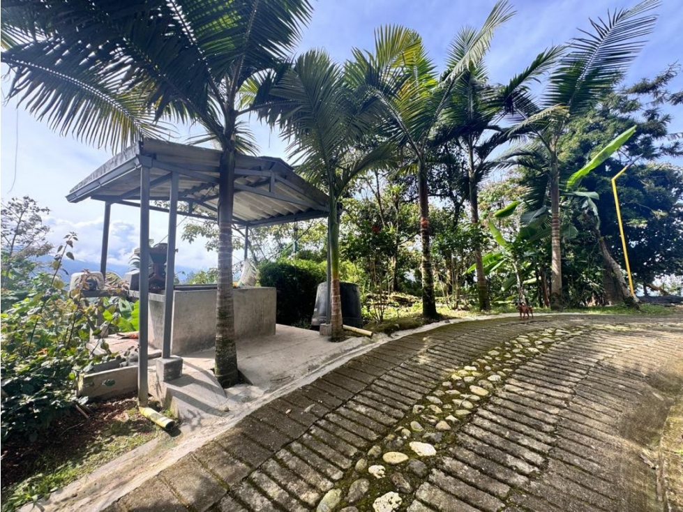 FINCA PARA LA VENTA PANORAMA — foto 5
