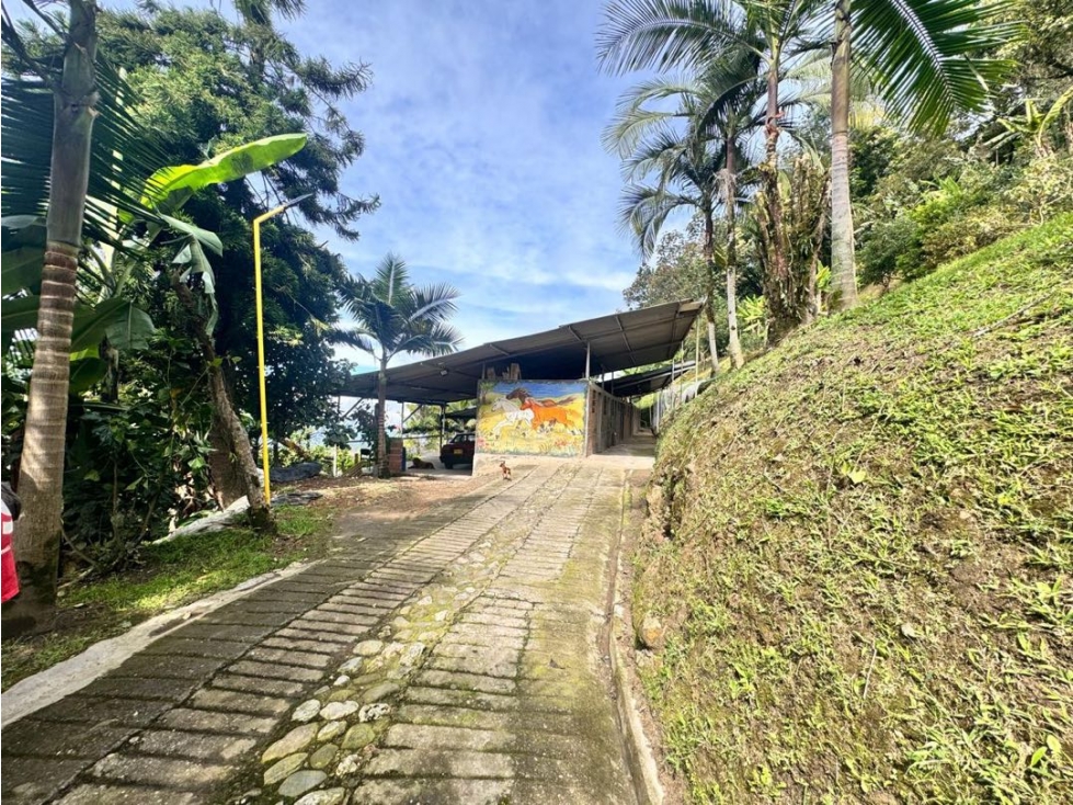 FINCA PARA LA VENTA PANORAMA — foto 6