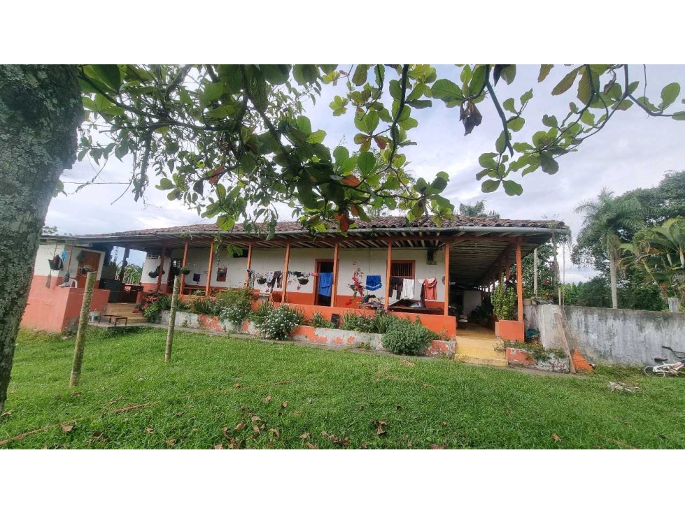 Finca plana en venta vereda pantanillo 20 minutos de Armenia