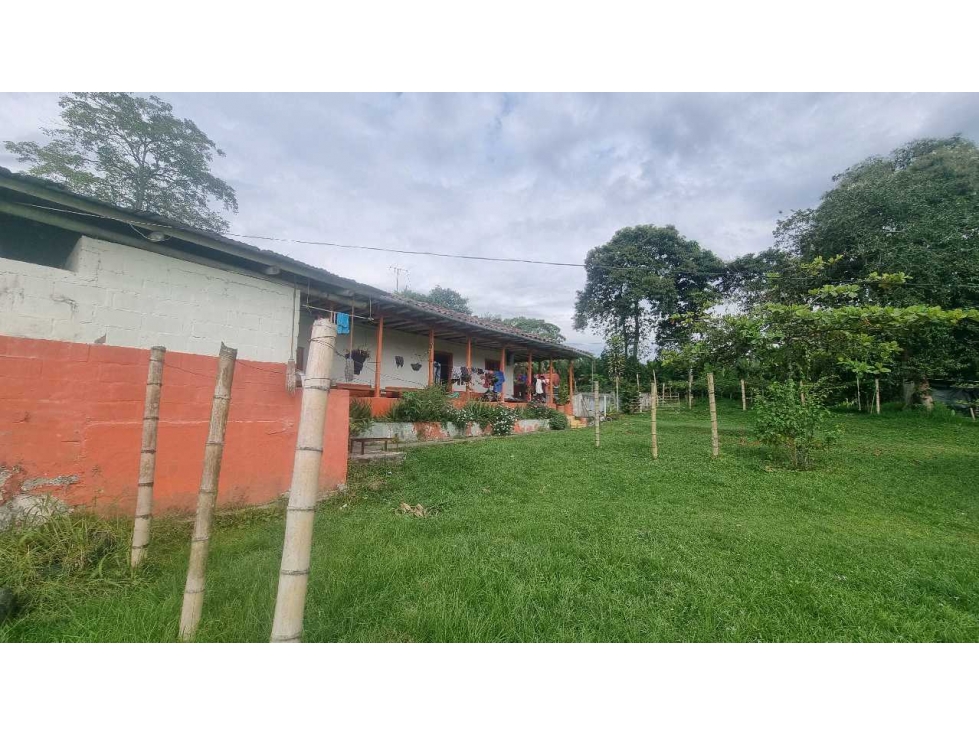 Finca plana en venta vereda pantanillo 20 minutos de Armenia — foto 2