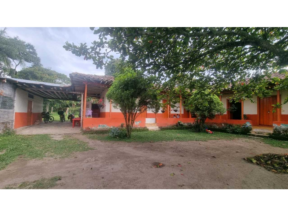 Finca plana en venta vereda pantanillo 20 minutos de Armenia — foto 3