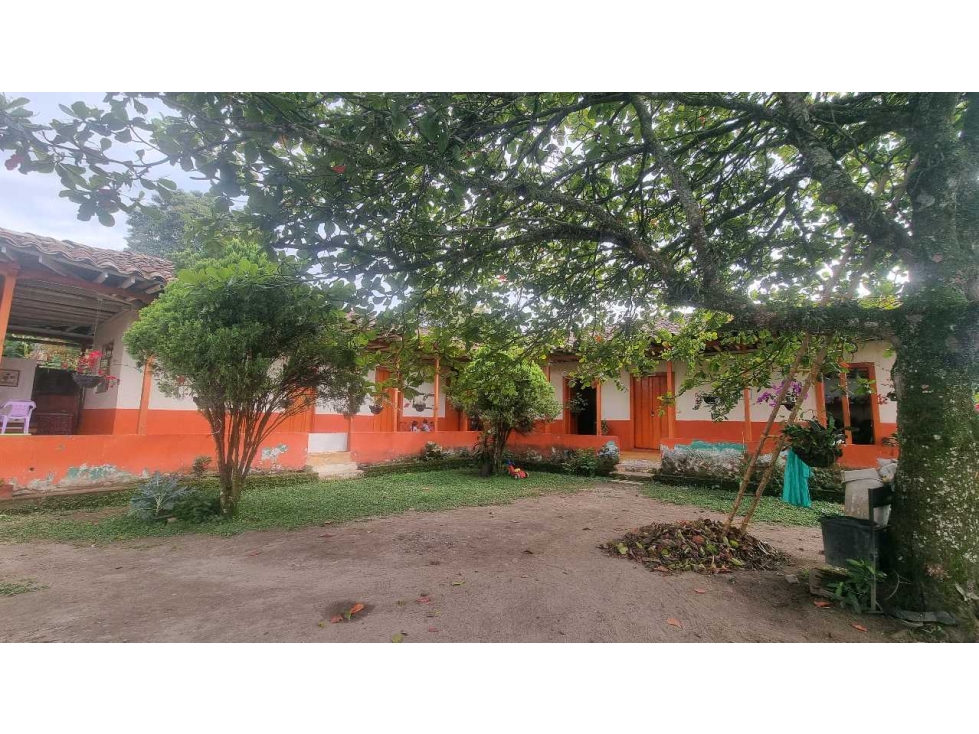 Finca plana en venta vereda pantanillo 20 minutos de Armenia — foto 4