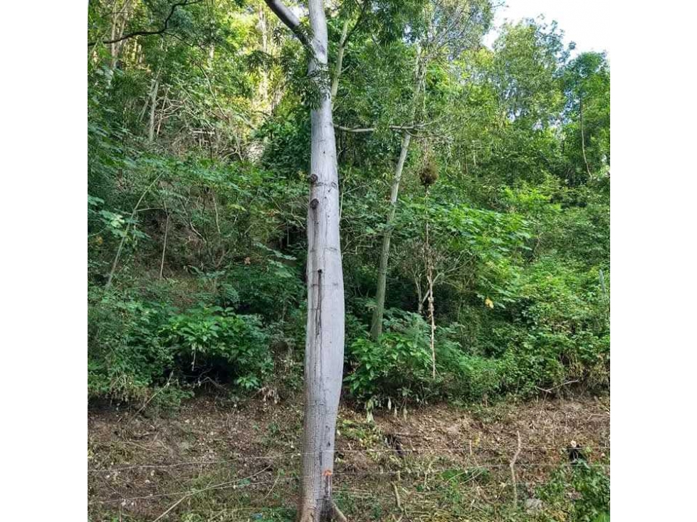 Finca En Ciénaga Colombia Con Registro En Agencia Nacional De Tierra - 2