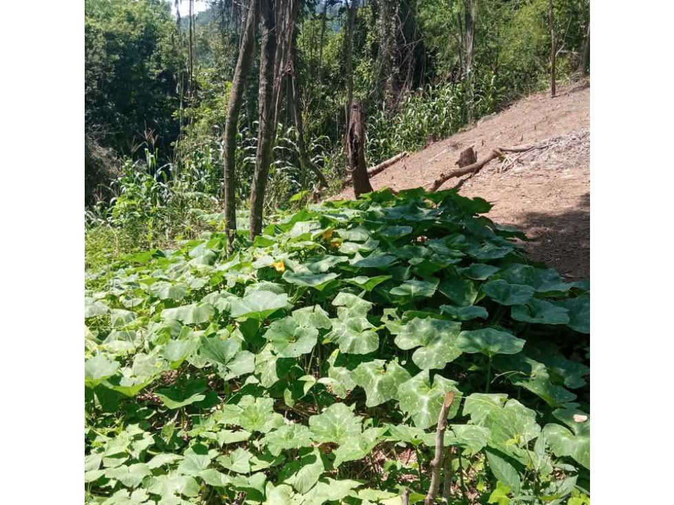 Finca En Ciénaga Colombia Con Registro En Agencia Nacional De Tierra - 4