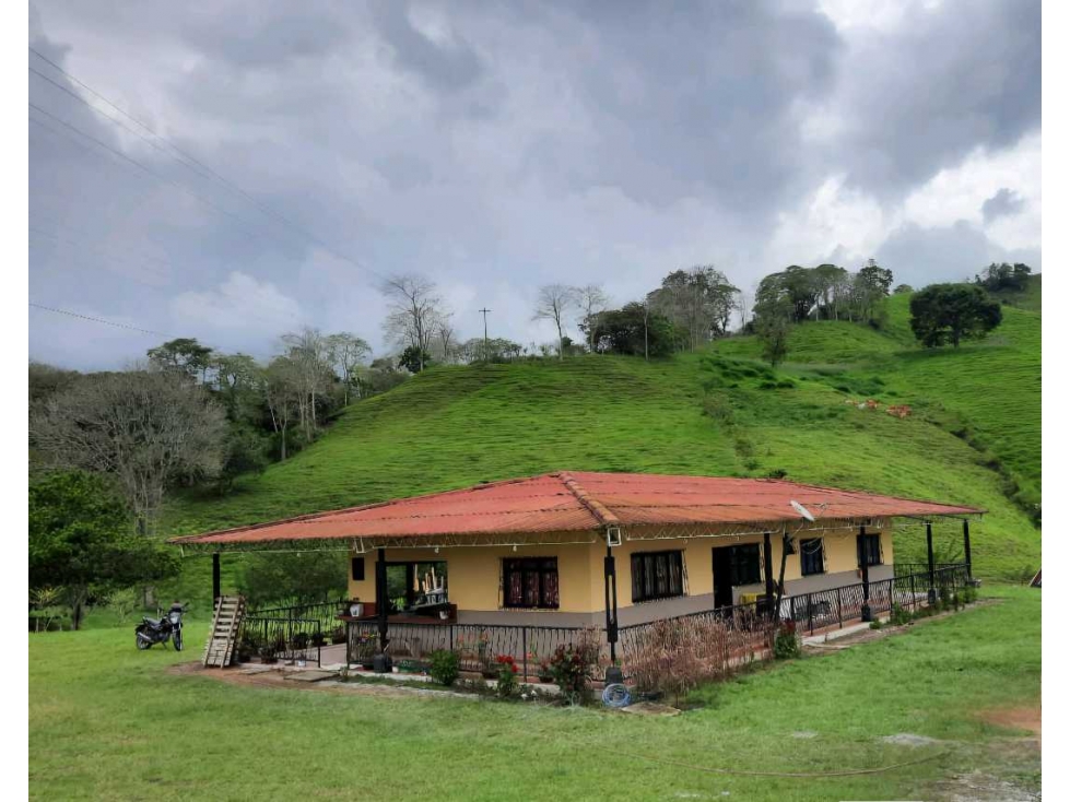 Finca Porcicola en el Quindío