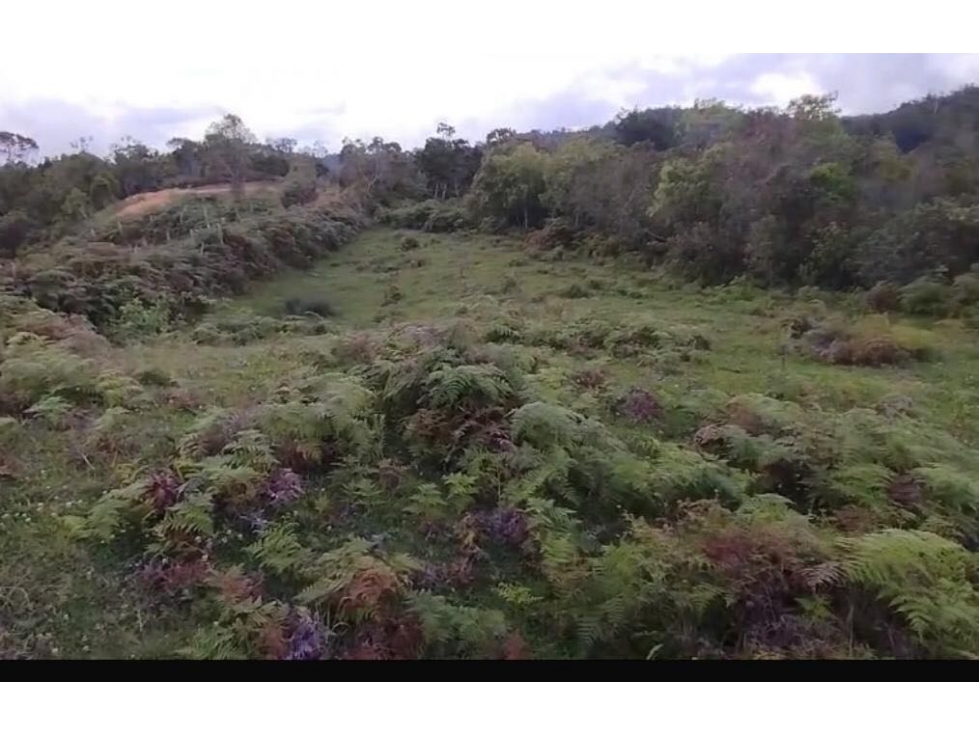 Lote para Porcicola San Vicente Ferrer