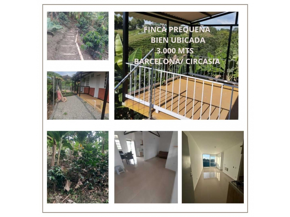FINCA PREQUEÑA.EN BARCELONA/ CIRCASIA/ QUINDIO - 1