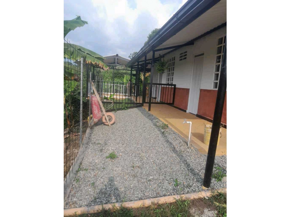 FINCA PREQUEÑA.EN BARCELONA/ CIRCASIA/ QUINDIO - 3