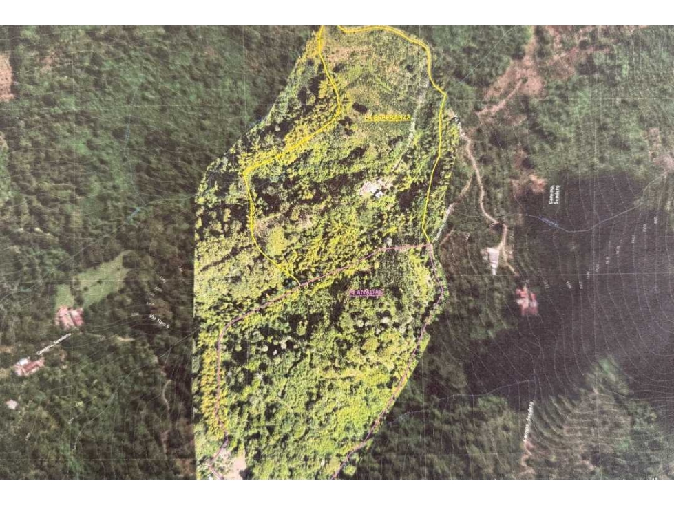 Finca Productora en Buenavista Quindio. Colombia - 3
