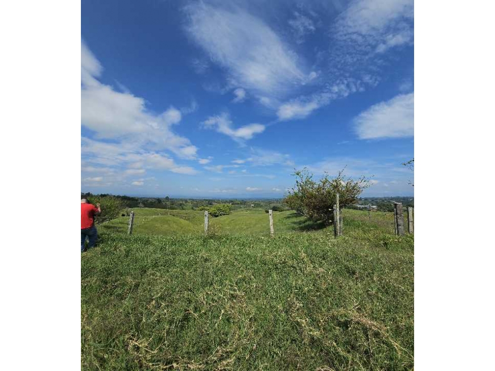 Finca productiva a 12 minutos de circasia — foto 2