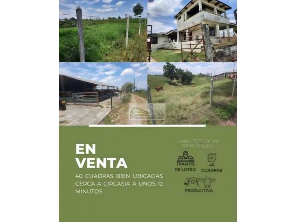 Finca productiva a 15 minutos de Circasia en excelente ubicación