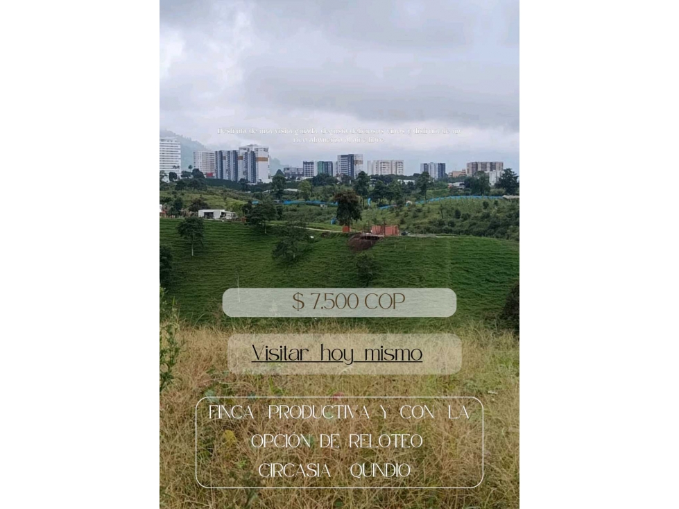 FINCA PRODUCTIVA CON LA OPCION DE RELOTEO !