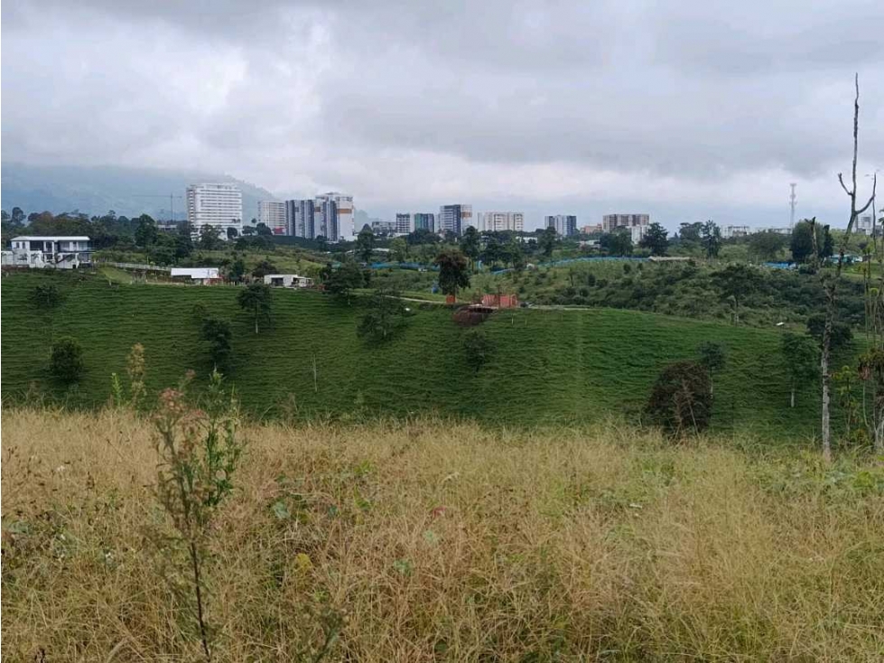FINCA PRODUCTIVA CON LA OPCION DE RELOTEO ! — foto 2