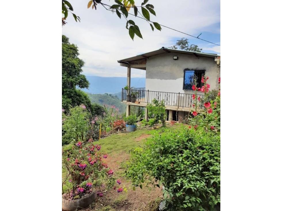 Finca Productiva en Venta en Marsella, Risaralda - 15 Cuadras