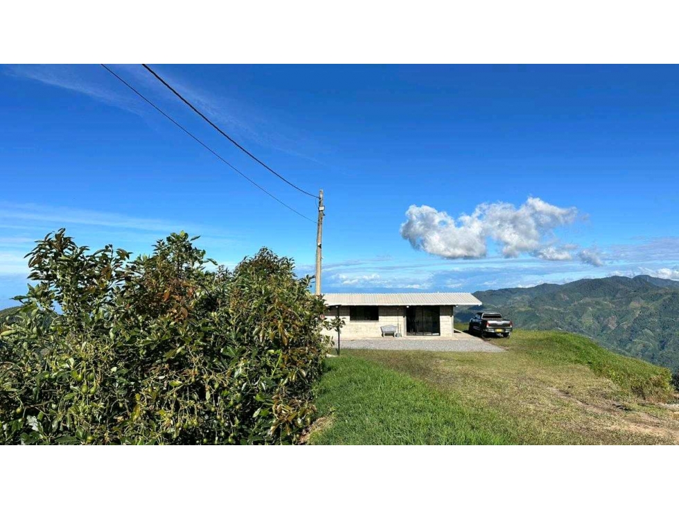 Finca Productiva Fresno Tolima - 2