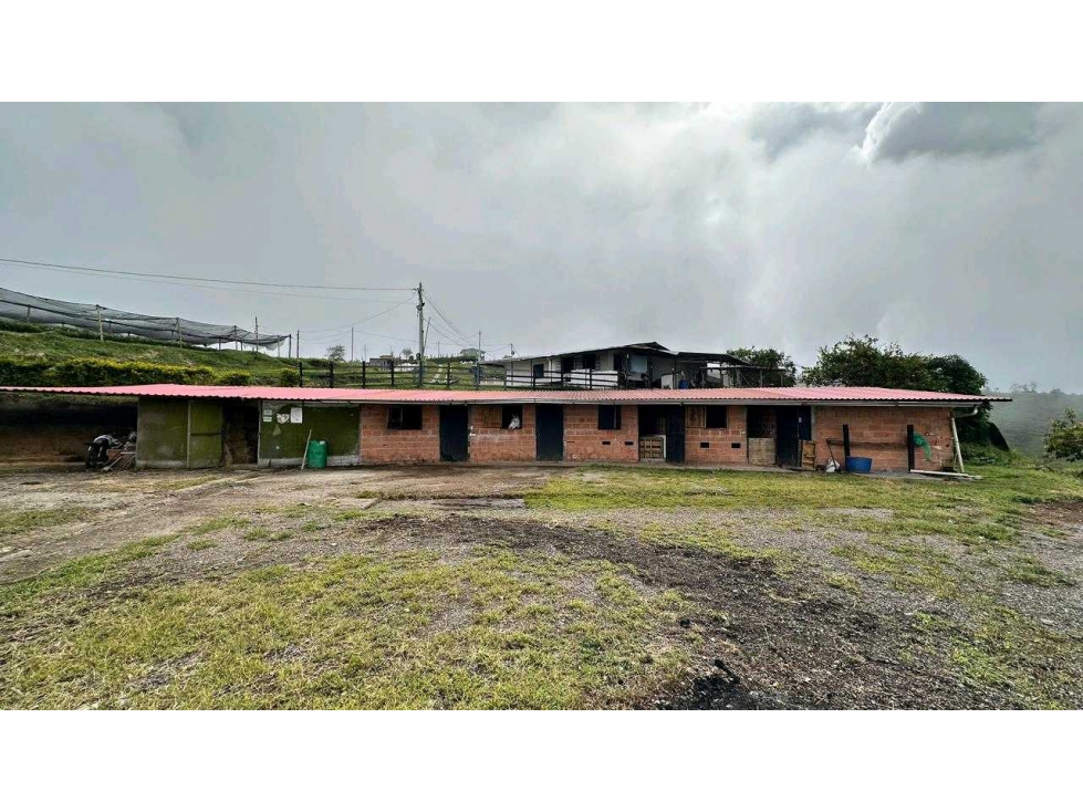 Finca Productiva Fresno Tolima - 4