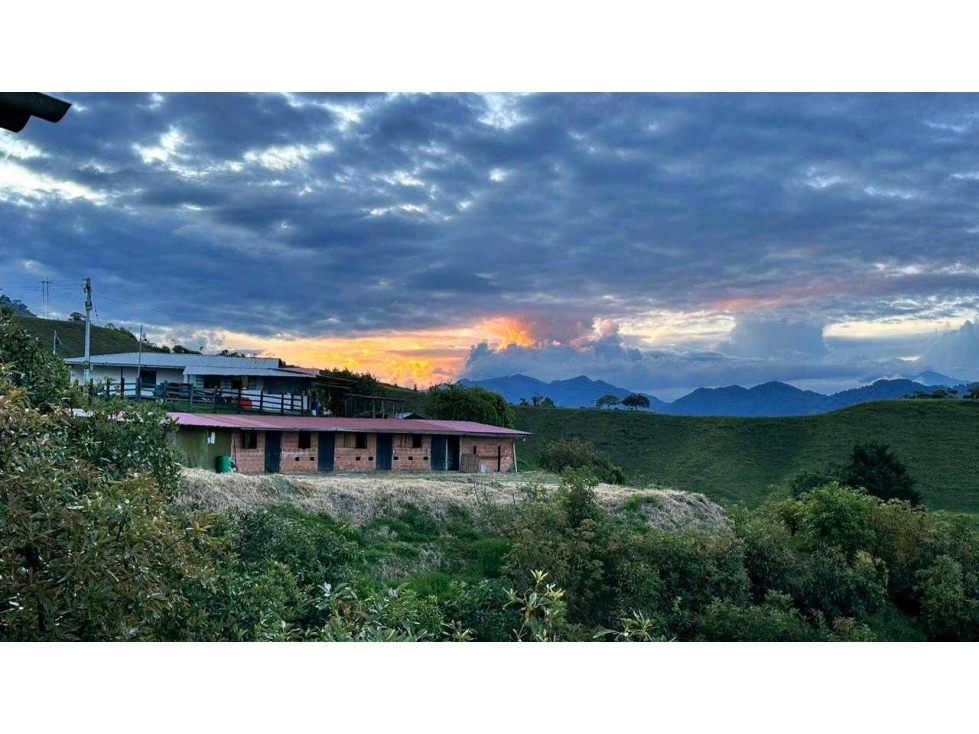 Finca Productiva Fresno Tolima - 5