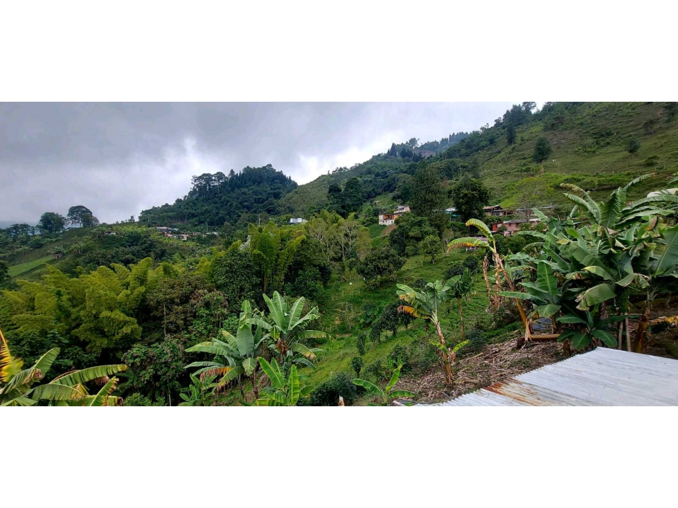 Finca Vereda Alto Bonito Manizales — foto 3