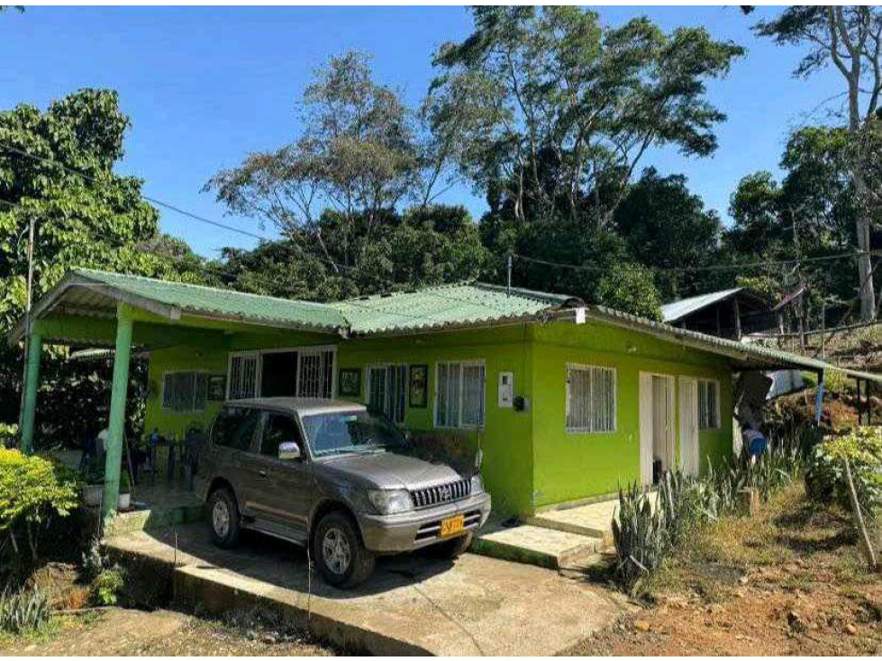 Finca Productiva Vereda Urita Mariquita Tolima - 2