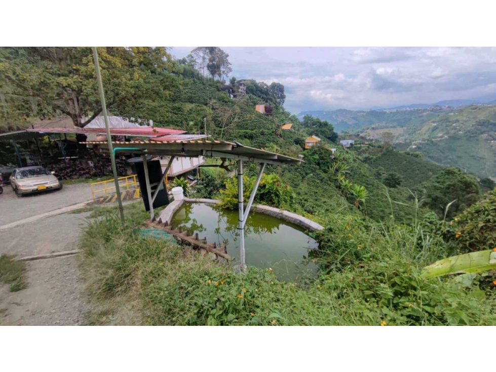 Finca Productiva y de Recreo Alto del Naranjo Manizales — foto 3