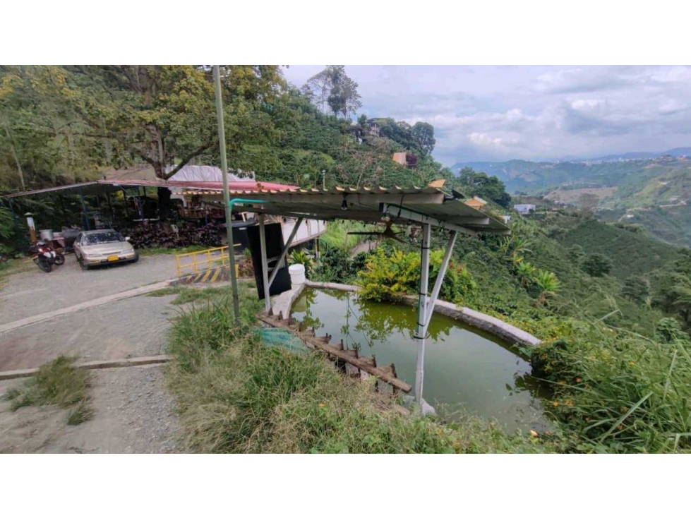 Finca Productiva y de Recreo Alto del Naranjo Manizales — foto 5