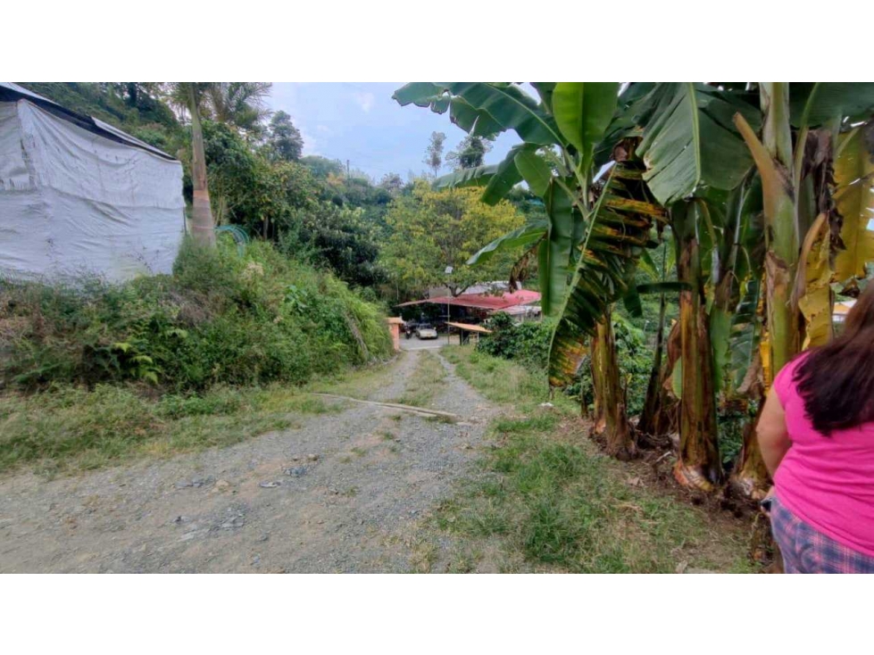 Finca Productiva y de Recreo Alto del Naranjo Manizales — foto 6