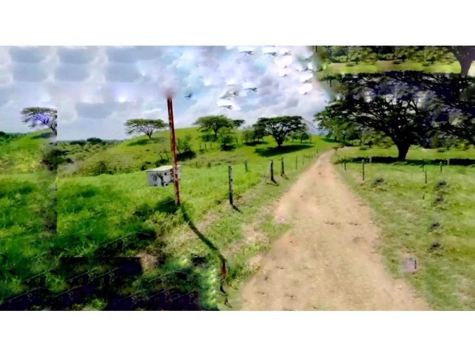 FINCA PRODUCTIVA Y GANADERA EN QUIMBAYA. - 6
