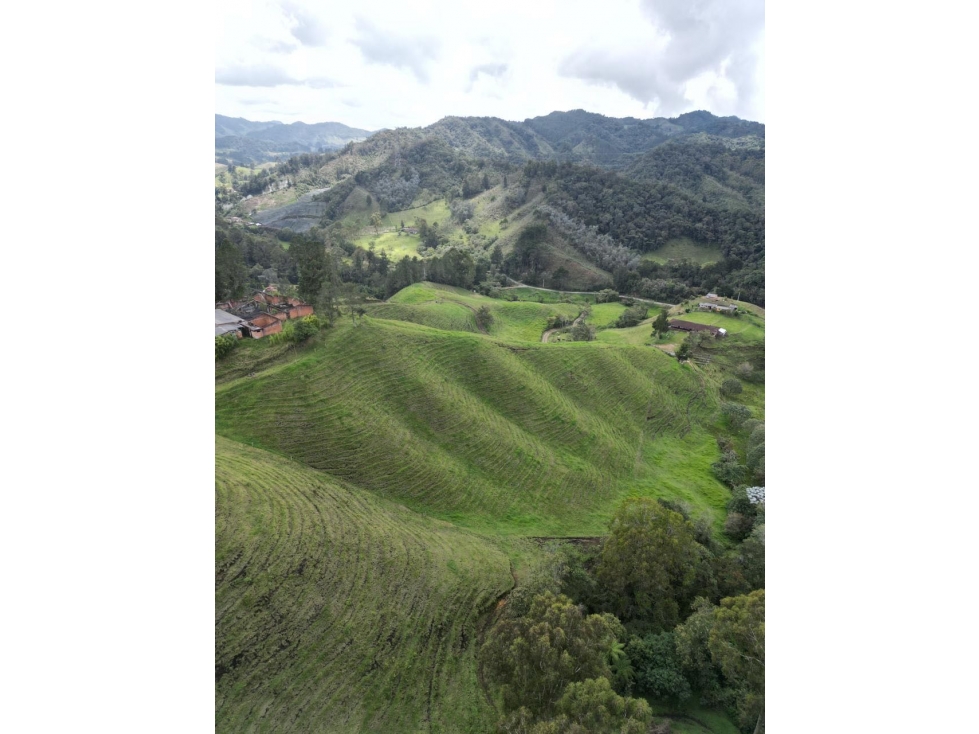 Finca productora 30hectareas en La Ceja