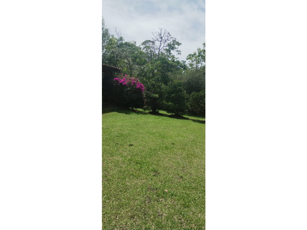 FINCA RIONEGRO - 1
