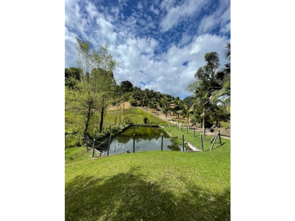 FINCA SAN VICENTE FERRER CON LAGO Y NACIMIENTO DE AGUA - 4
