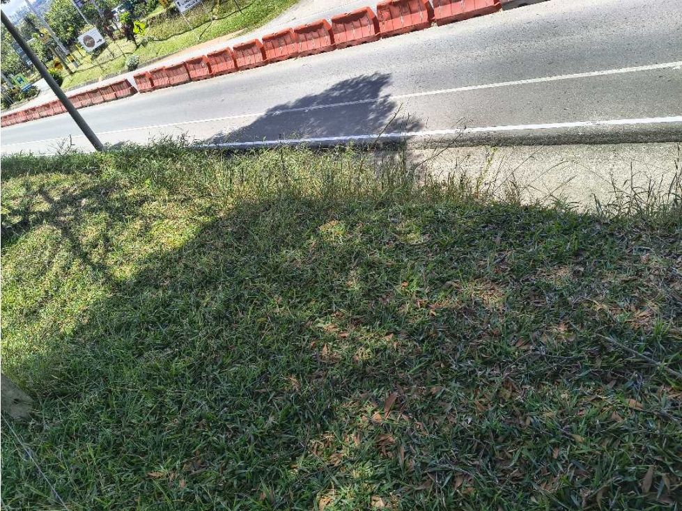 Finca con 300 mts sobre la doble calzada Aeropuerto José María Cordova — foto 2