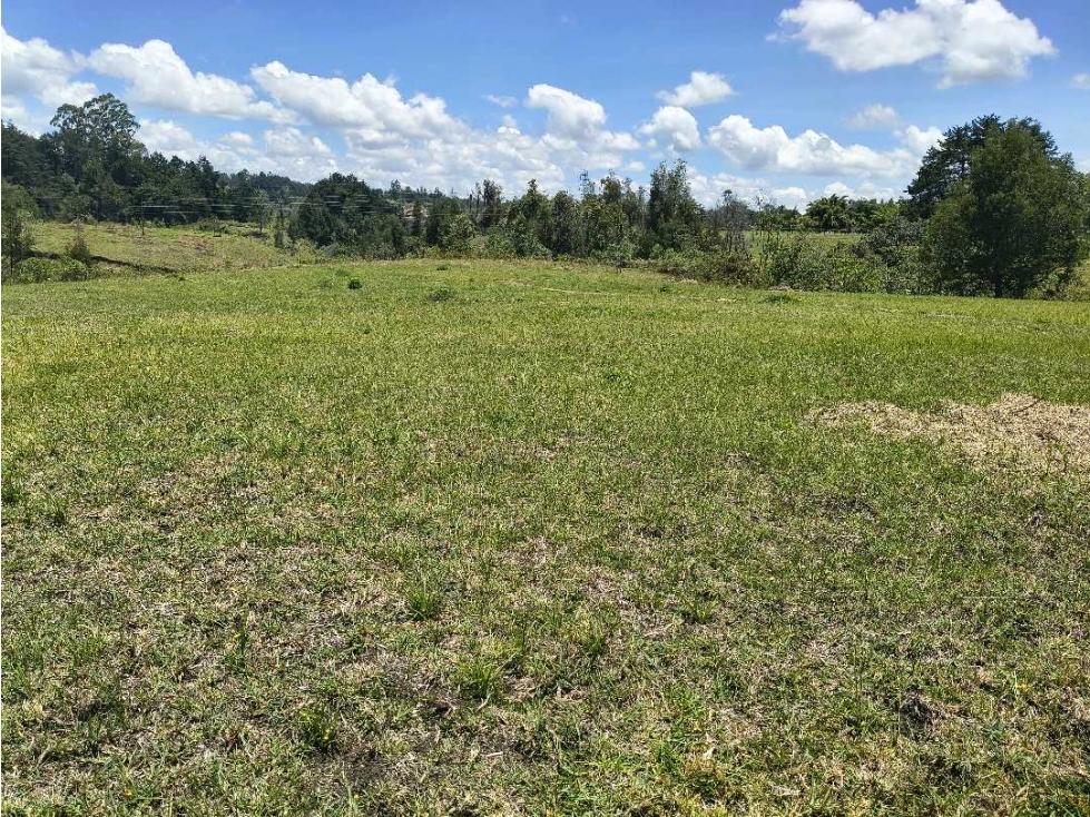 Finca con 300 mts sobre la doble calzada Aeropuerto José María Cordova — foto 5
