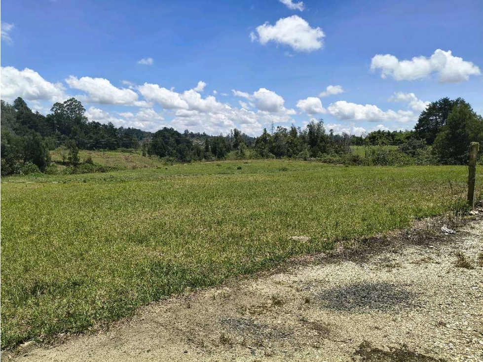 Finca con 300 mts sobre la doble calzada Aeropuerto José María Cordova — foto 6