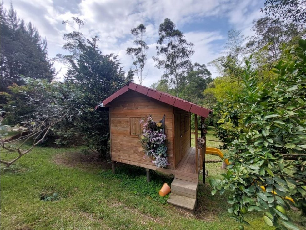 Finca sector la Mosquita curva del Gordo — foto 4