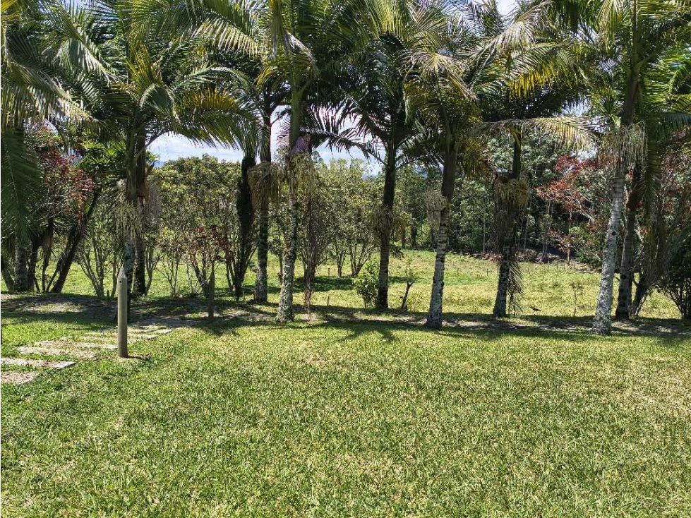 Finca Sector Zona E, Sector Aeropuerto José María Córdova Rionegro — foto 4