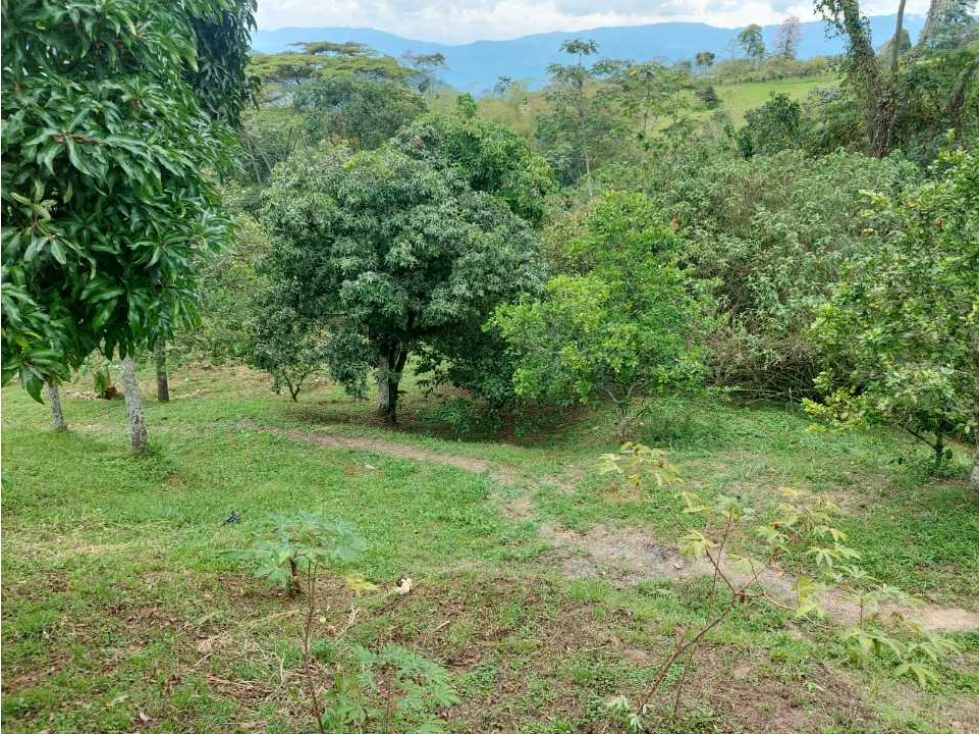 Finca Sobre La Vía Principal Ideal Para Proyecto Turístico - 2