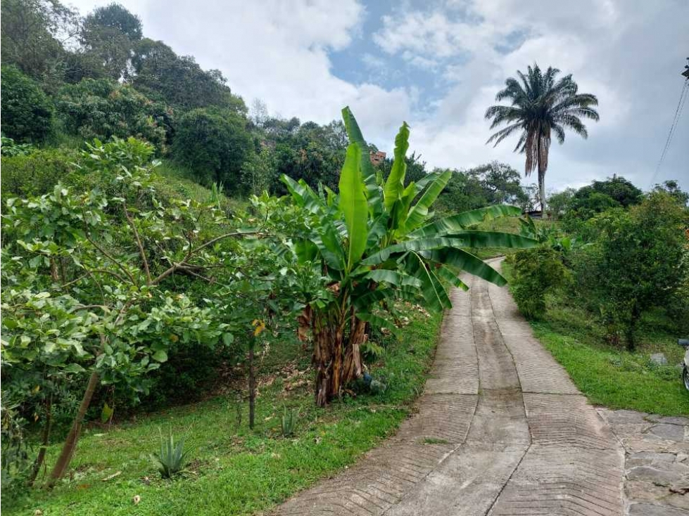 Finca Sobre La Vía Principal Ideal Para Proyecto Turístico - 3