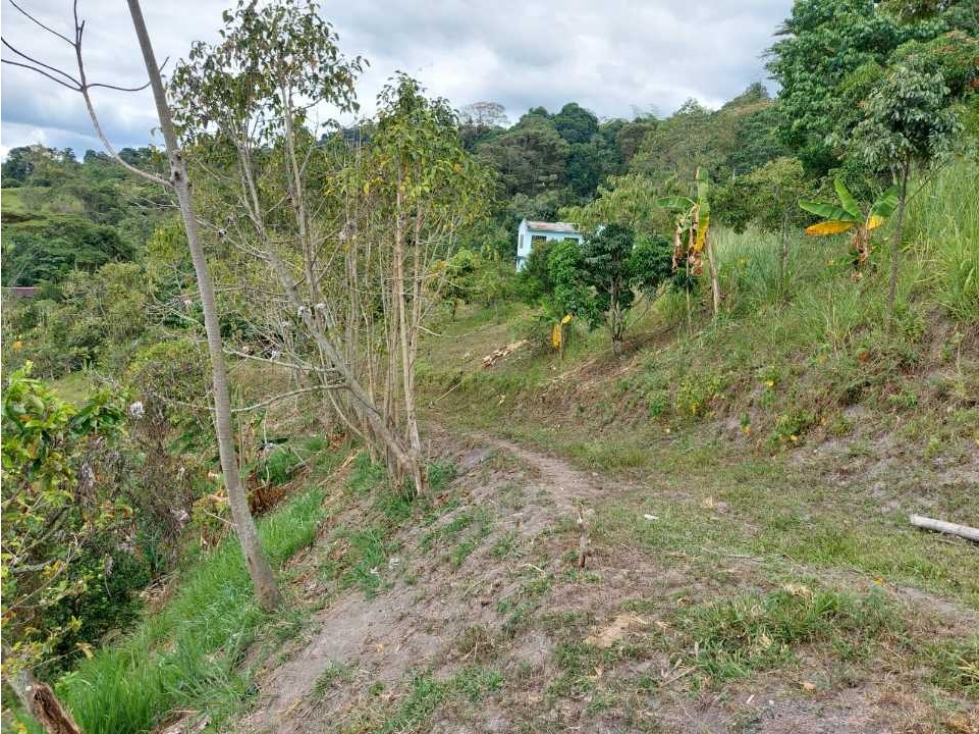 Finca Sobre La Vía Principal Ideal Para Proyecto Turístico - 4