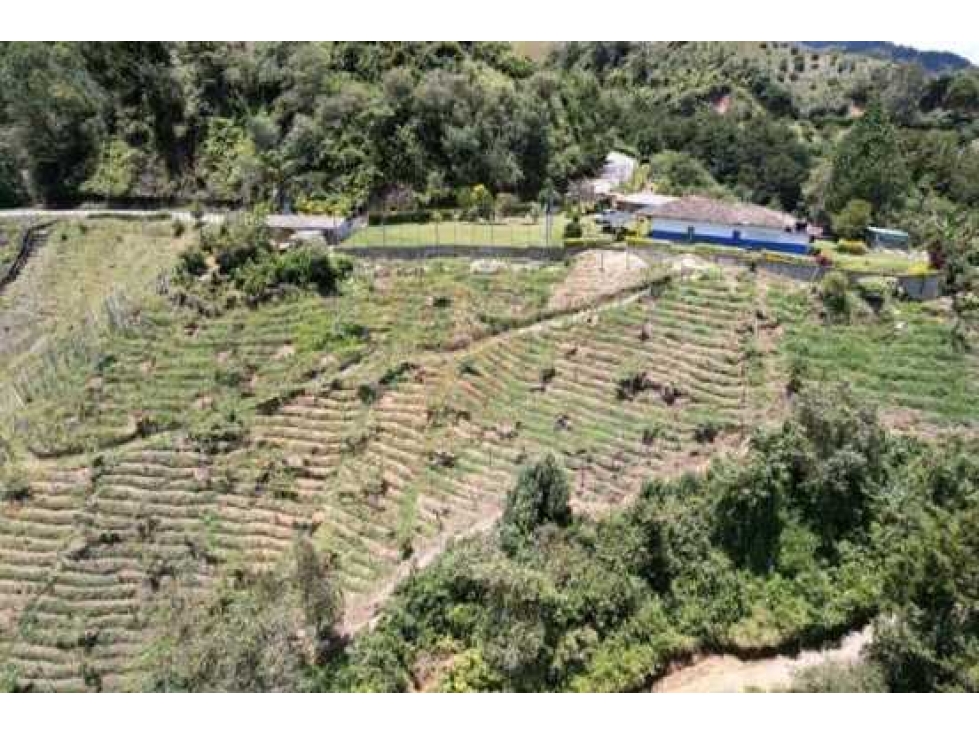 FINCA SONSON - 2