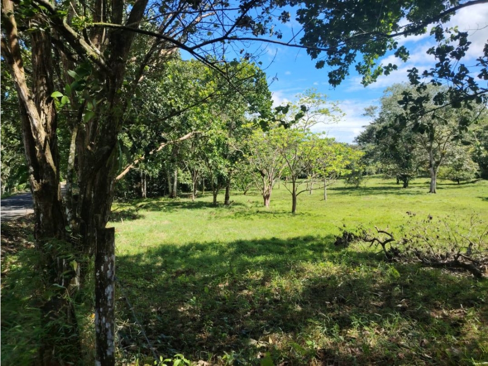 Finca titulada en venta en Portobelo, Colón