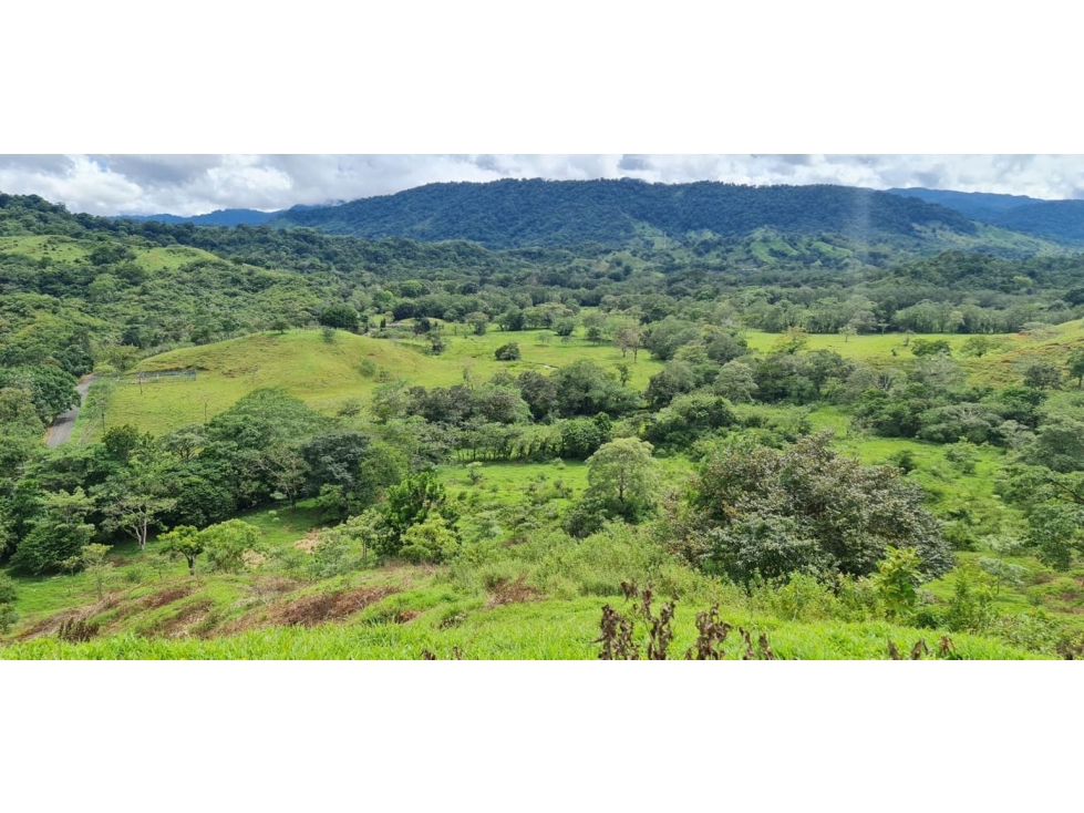 Finca titulada en venta en Portobelo, Colón — foto 2