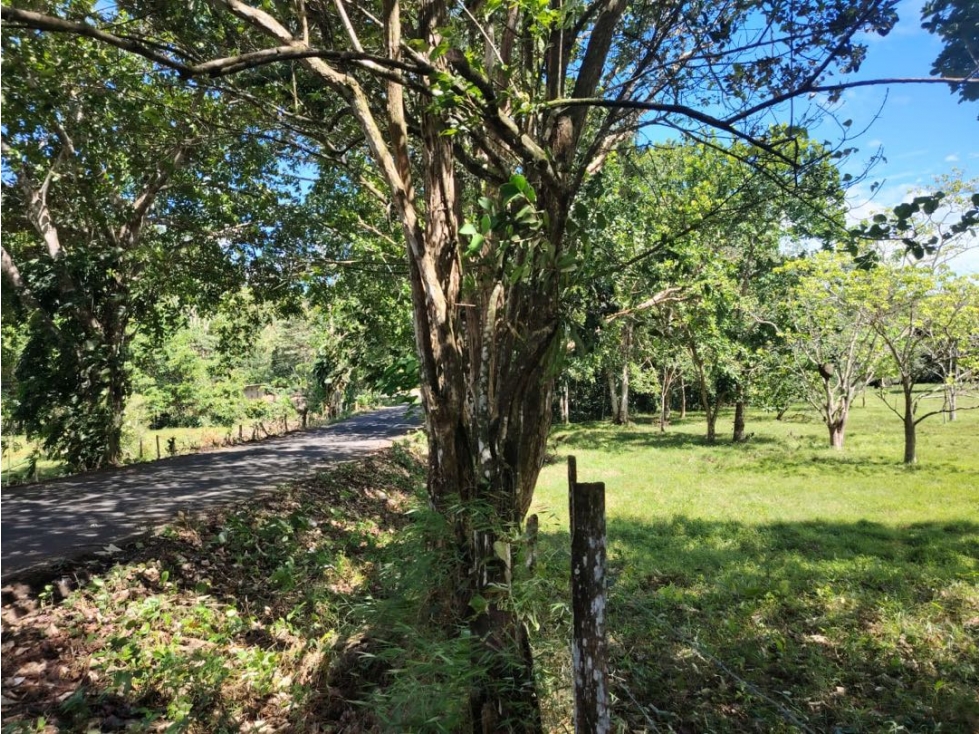 Finca titulada en venta en Portobelo, Colón — foto 3
