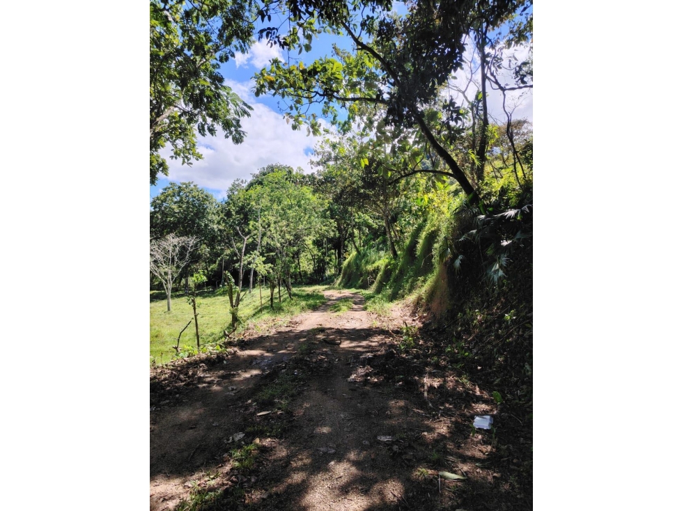 Finca titulada en venta en Portobelo, Colón — foto 4