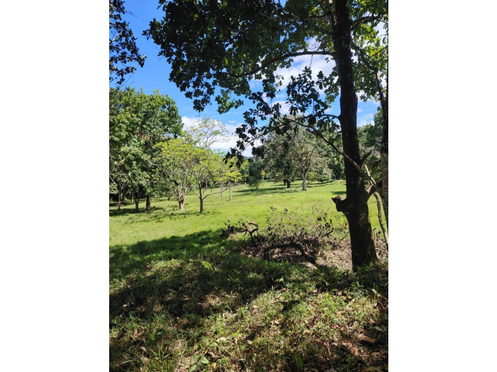 Finca titulada en venta en Portobelo, Colón — foto 5