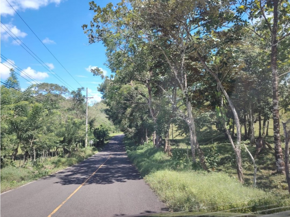 Finca titulada en venta en Portobelo, Colón — foto 6