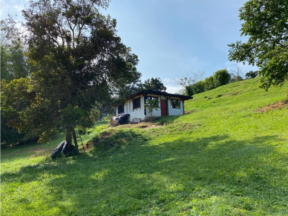 Vendo finca Puente Palo con dos viviendas y acceso pavimentado VZ - 2