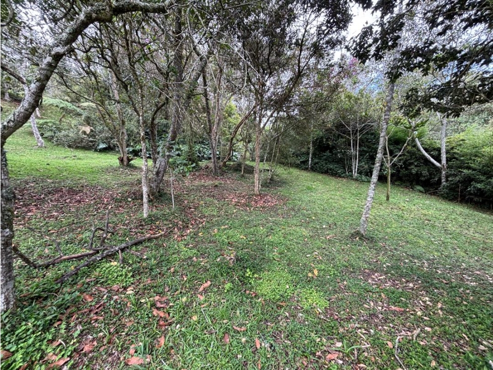 Finca tradicional en Guarne vereda batea seca a 10 minutos del pueblo — foto 3