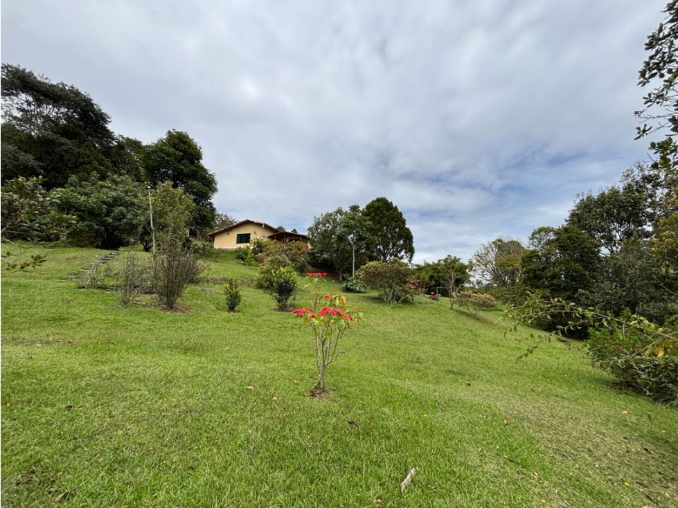 Finca tradicional en Guarne vereda batea seca a 10 minutos del pueblo — foto 6